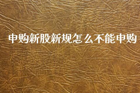 申购新股新规怎么不能申购_https://wap.lxcailiao.com_融资担保_第1张