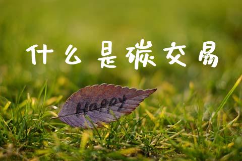 什么是碳交易_https://wap.lxcailiao.com_财务管理_第1张