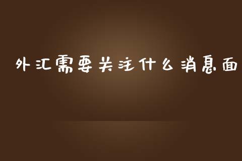 外汇需要关注什么消息面_https://wap.lxcailiao.com_融资担保_第1张