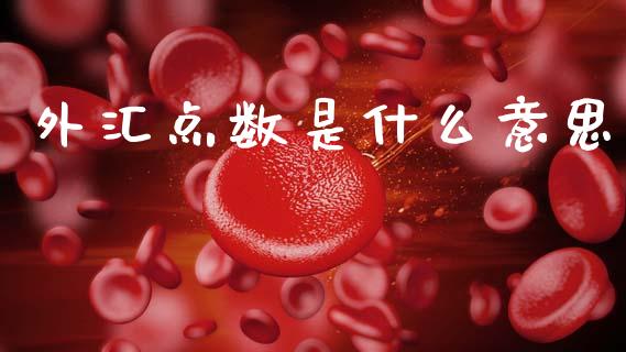 外汇点数是什么意思_https://wap.lxcailiao.com_金融监管_第1张