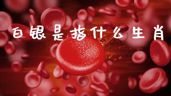白银是指什么生肖_https://wap.lxcailiao.com_融资担保_第1张