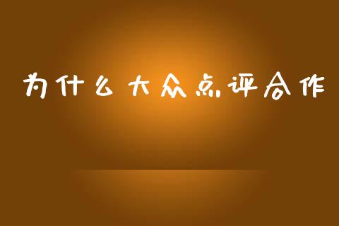 为什么大众点评合作_https://wap.lxcailiao.com_财务管理_第1张