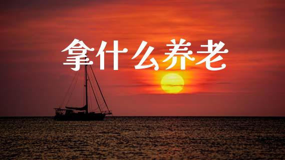 拿什么养老_https://wap.lxcailiao.com_金融监管_第1张