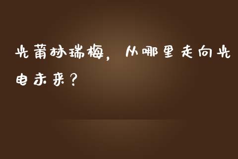 光莆林瑞梅，从哪里走向光电未来？_https://wap.lxcailiao.com_财务管理_第1张