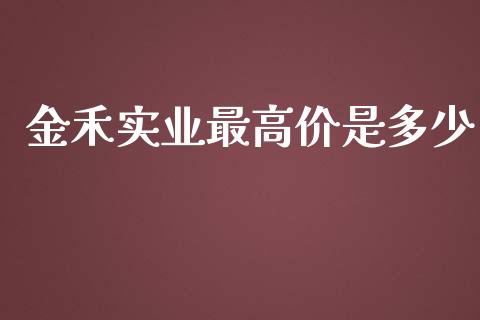 金禾实业最高价是多少_https://wap.lxcailiao.com_融资担保_第1张