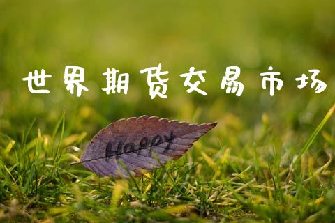 世界期货交易市场_https://wap.lxcailiao.com_财务管理_第1张