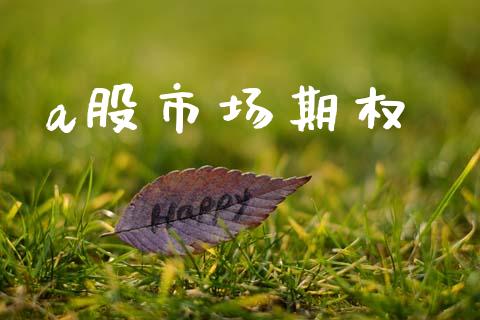 a股市场期权_https://wap.lxcailiao.com_融资担保_第1张