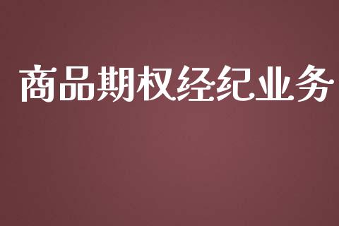 商品期权经纪业务_https://wap.lxcailiao.com_融资担保_第1张