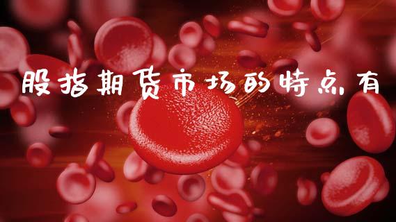 股指期货市场的特点有_https://wap.lxcailiao.com_财务管理_第1张