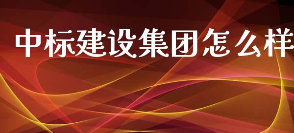 中标建设集团怎么样_https://wap.lxcailiao.com_融资担保_第1张