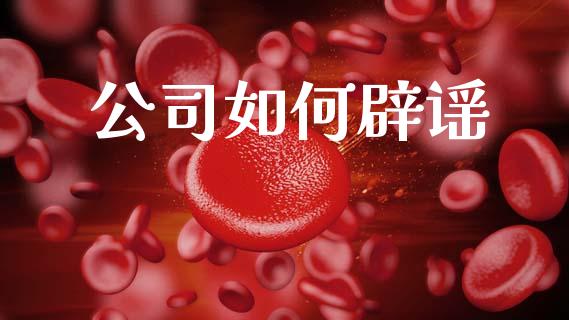 公司如何辟谣_https://wap.lxcailiao.com_金融监管_第1张