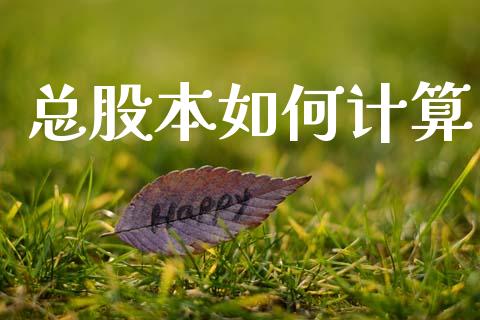 总股本如何计算_https://wap.lxcailiao.com_金融监管_第1张