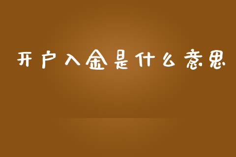 开户入金是什么意思_https://wap.lxcailiao.com_融资担保_第1张