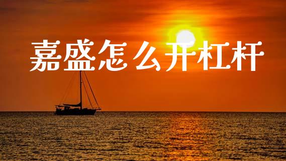 嘉盛怎么开杠杆_https://wap.lxcailiao.com_股权投资_第1张