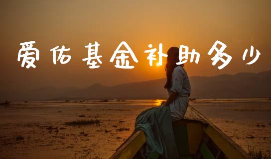 爱佑基金补助多少_https://wap.lxcailiao.com_财务管理_第1张