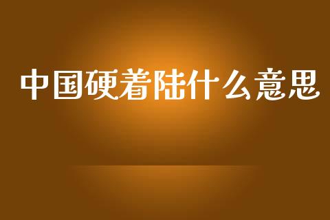 中国硬着陆什么意思_https://wap.lxcailiao.com_股权投资_第1张