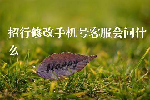 招行修改手机号客服会问什么_https://wap.lxcailiao.com_融资担保_第1张