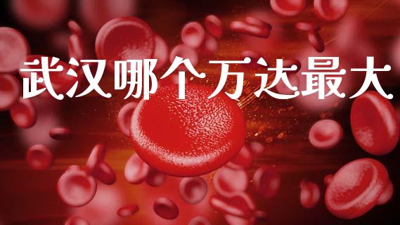 武汉哪个万达最大_https://wap.lxcailiao.com_融资担保_第1张