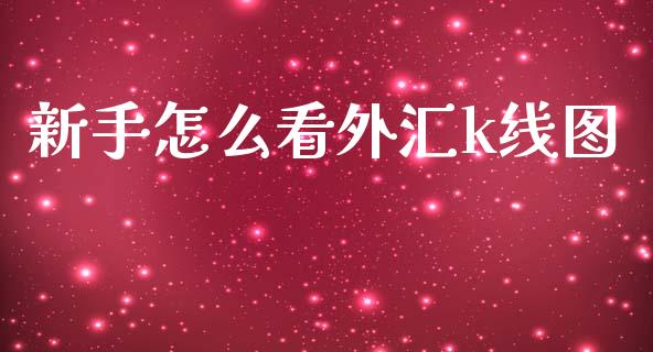 新手怎么看外汇k线图_https://wap.lxcailiao.com_财务管理_第1张