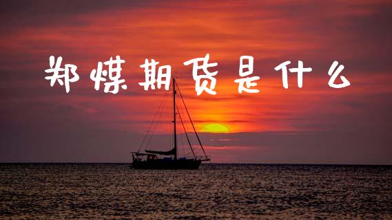 郑煤期货是什么_https://wap.lxcailiao.com_金融监管_第1张