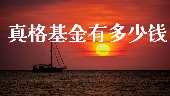 真格基金有多少钱_https://wap.lxcailiao.com_金融监管_第1张