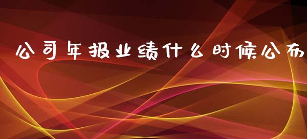 公司年报业绩什么时候公布_https://wap.lxcailiao.com_融资担保_第1张