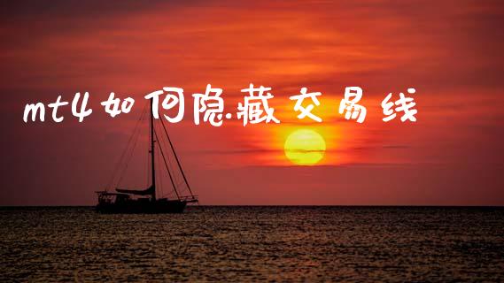 mt4如何隐藏交易线_https://wap.lxcailiao.com_股权投资_第1张