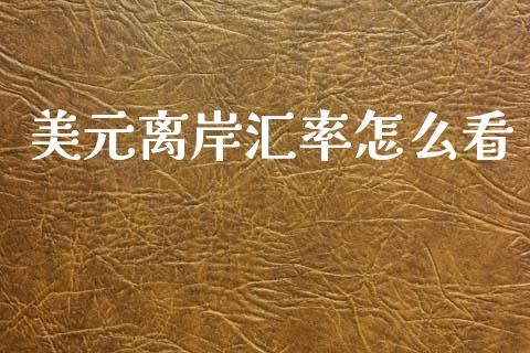 美元离岸汇率怎么看_https://wap.lxcailiao.com_股权投资_第1张