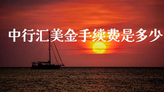 中行汇美金手续费是多少_https://wap.lxcailiao.com_股权投资_第1张