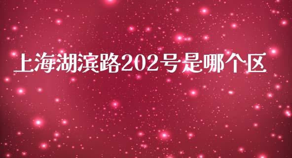 上海湖滨路202号是哪个区_https://wap.lxcailiao.com_财务管理_第1张