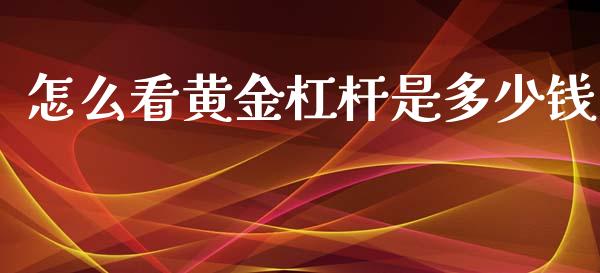 怎么看黄金杠杆是多少钱_https://wap.lxcailiao.com_股权投资_第1张