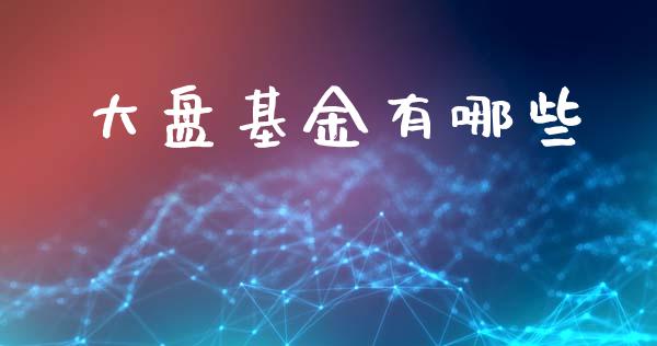 大盘基金有哪些_https://wap.lxcailiao.com_财务管理_第1张