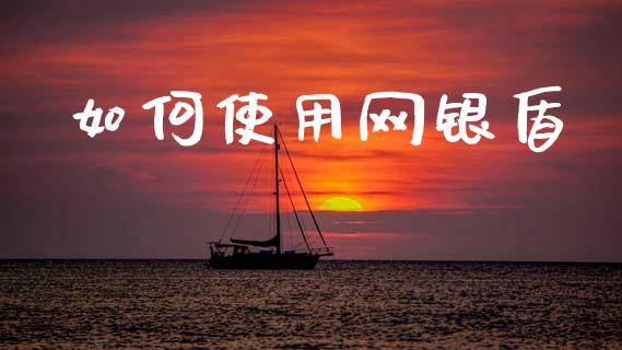如何使用网银盾_https://wap.lxcailiao.com_财务管理_第1张