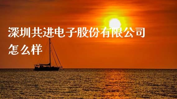 深圳共进电子股份有限公司怎么样_https://wap.lxcailiao.com_财务管理_第1张