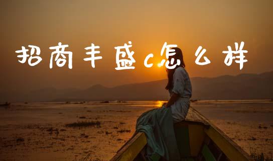招商丰盛c怎么样_https://wap.lxcailiao.com_财务管理_第1张