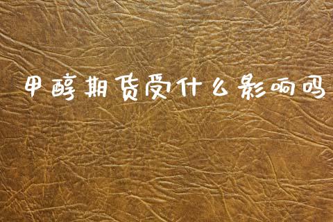 甲醇期货受什么影响吗_股权投资_第1张_金融监管_融资担保_财务管理_股权投资 甲醇期货受什么影响吗_https://wap.lxcailiao.com_股权投资_第1张