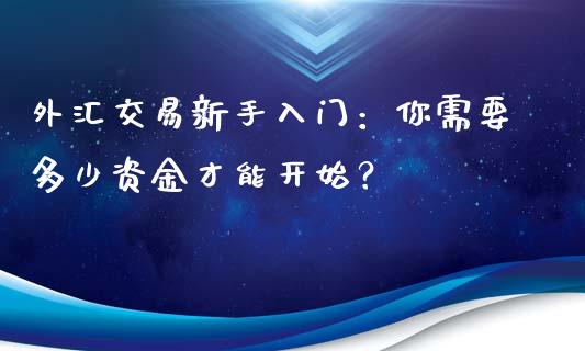 外汇交易新手入门：你需要多少资金才能开始？_https://wap.lxcailiao.com_融资担保_第1张