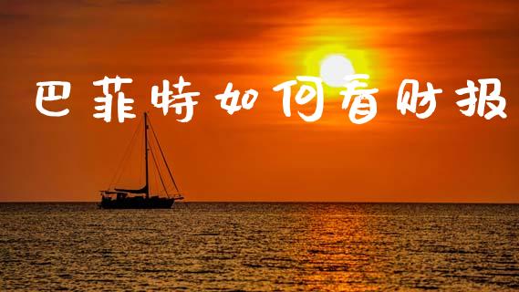 巴菲特如何看财报_https://wap.lxcailiao.com_融资担保_第1张