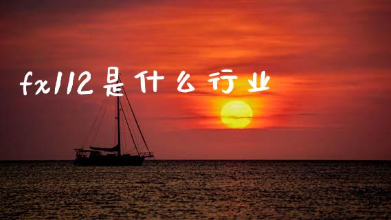 fx112是什么行业_https://wap.lxcailiao.com_金融监管_第1张