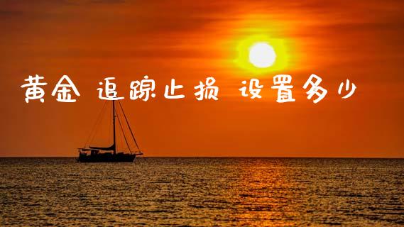 黄金 追踪止损 设置多少_https://wap.lxcailiao.com_融资担保_第1张