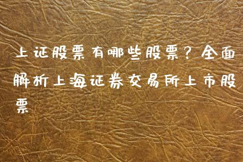 上证股票有哪些股票？全面解析上海证券交易所上市股票_https://wap.lxcailiao.com_财务管理_第1张
