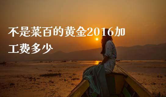 不是菜百的黄金2016加工费多少_https://wap.lxcailiao.com_金融监管_第1张