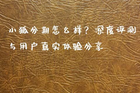 小狐分期怎么样？深度评测与用户真实体验分享_https://wap.lxcailiao.com_融资担保_第1张