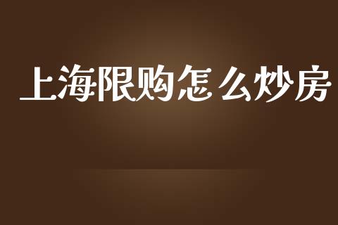 上海限购怎么炒房_金融监管_第1张_金融监管_融资担保_财务管理_股权投资 上海限购怎么炒房_https://wap.lxcailiao.com_金融监管_第1张