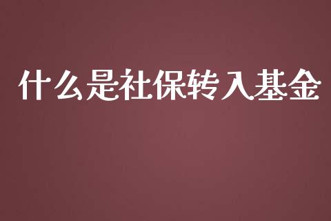 什么是社保转入基金_https://wap.lxcailiao.com_金融监管_第1张
