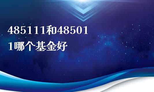 485111和485011哪个基金好_https://wap.lxcailiao.com_金融监管_第1张