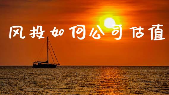 风投如何公司估值_https://wap.lxcailiao.com_财务管理_第1张