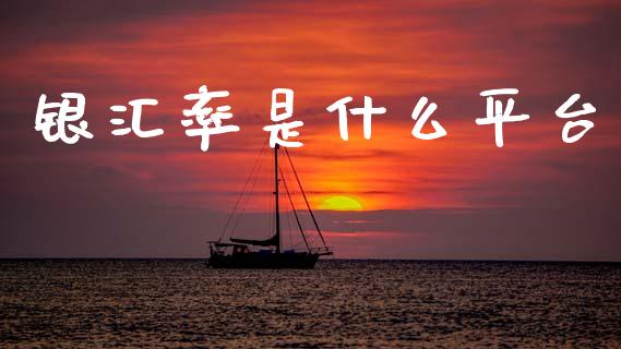 银汇率是什么平台_https://wap.lxcailiao.com_股权投资_第1张
