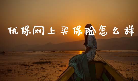 优保网上买保险怎么样_https://wap.lxcailiao.com_融资担保_第1张