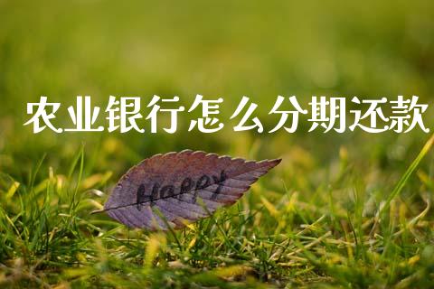 农业银行怎么分期还款_https://wap.lxcailiao.com_股权投资_第1张